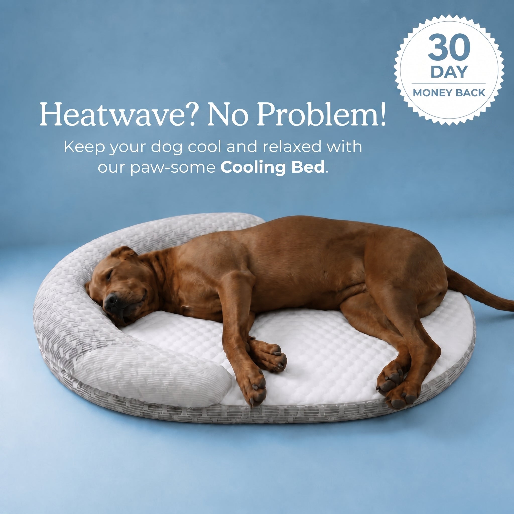 CoolFriend Cooling Bed